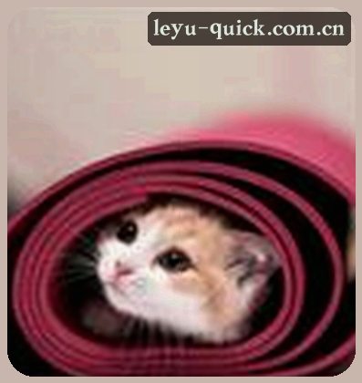周婷